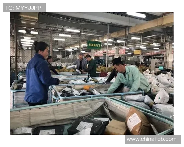 对话杨娜：回顾DOTA2职业生涯的挑战与成就