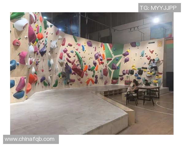 杭州攀岩队与成都攀岩队个人能力对比分析及赛后总结